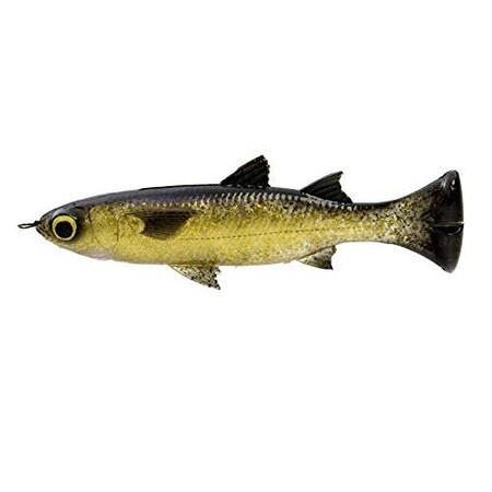 Savage Gear Pulse Tail Mullet 5 21 Lb Golden Mullet 2569